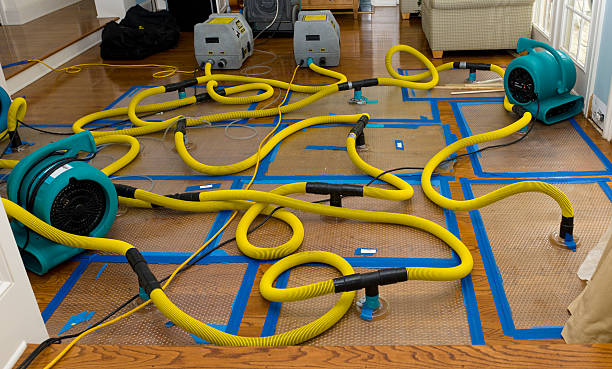 Professional Structural Drying And Dehumidification technician working in Eskdale, WV