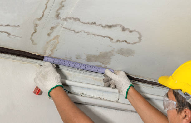 Affordable Water Damage Repair solutions in Eskdale, WV